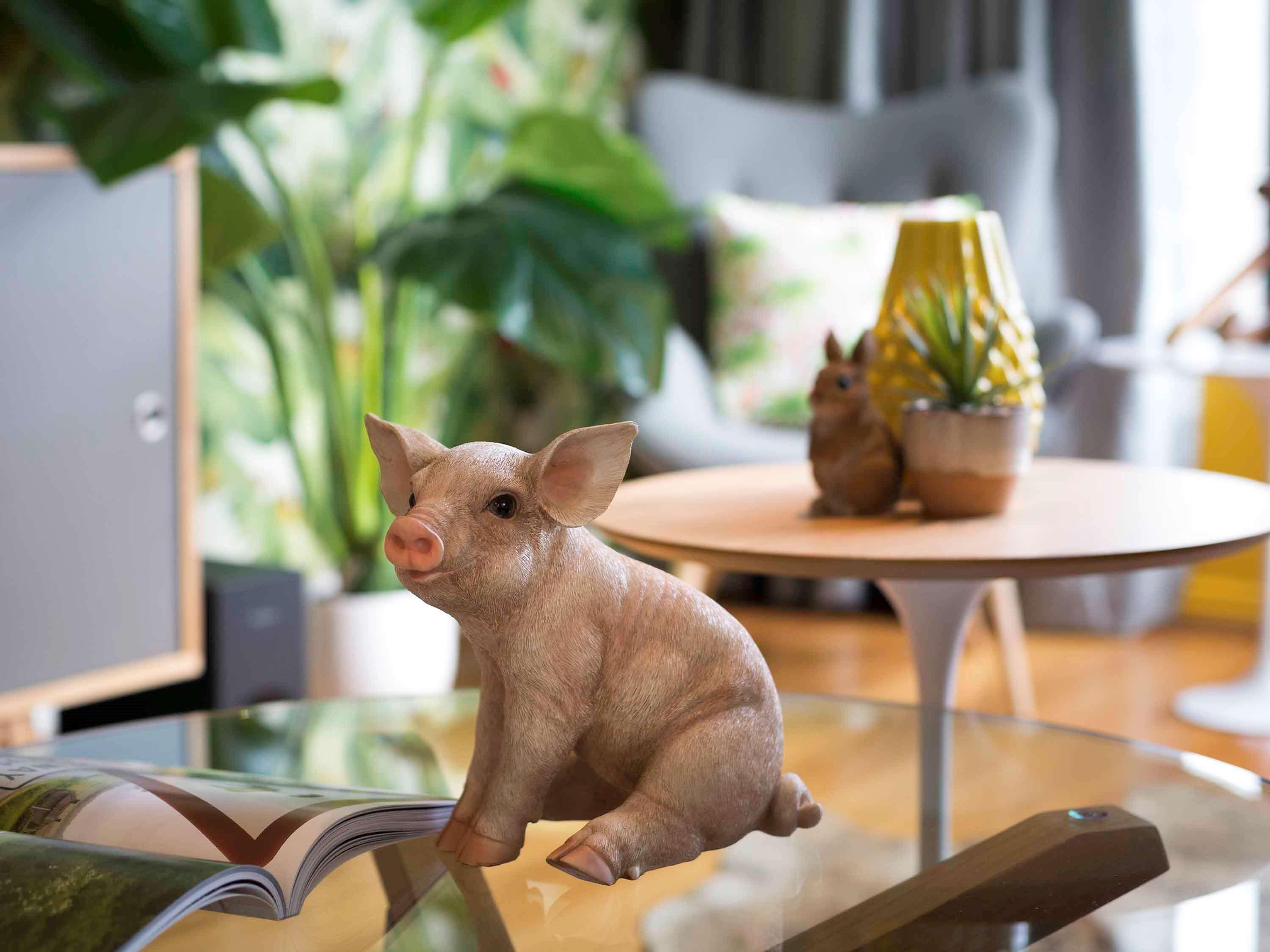 悉尼铂尔曼海德公园酒店 外观 照片 A piglet